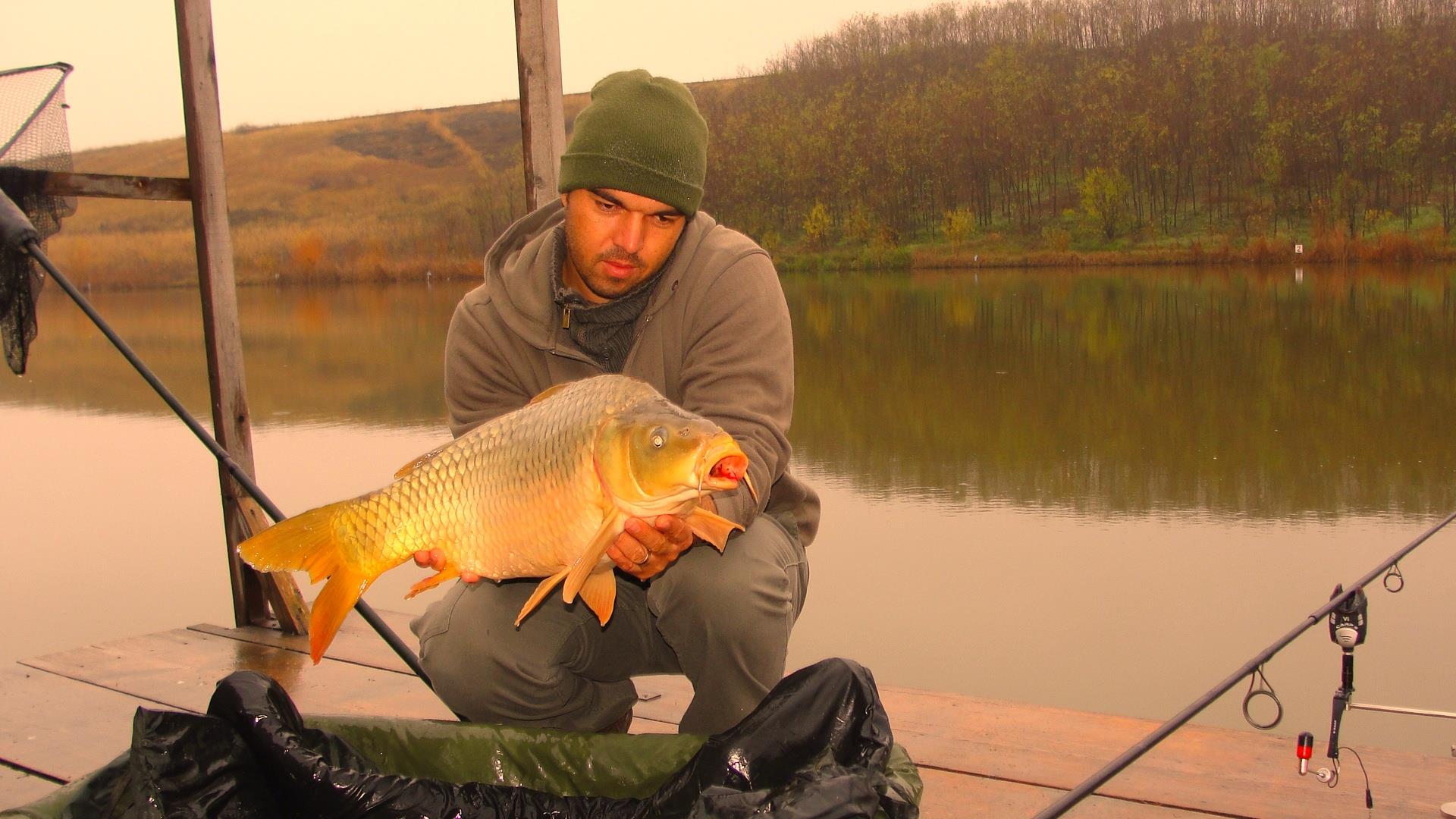 Magura 9 23 - 23 nov. - 13.JPG